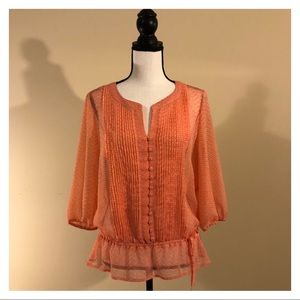 Ana Long Sleeve Shear Blouse